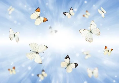 Butterflies 3D Ilustración de archivo