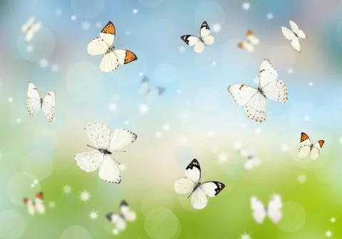 Butterflies 3D Stock Photos