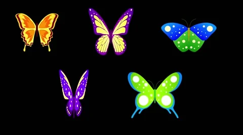 Butterflies (AE project) Stock After Effects