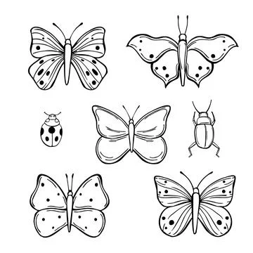 Butterflies and bugs. Vector  illustration. Stock Illustration