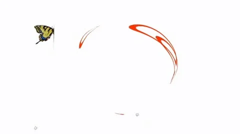 Butterflies and circles Stock Footage 20503135