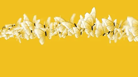 Butterflies Animated Stock Footage 62261238