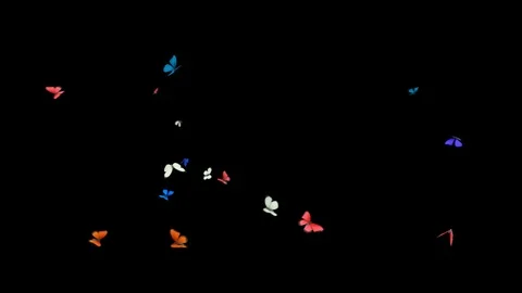 Butterflies animations Mixed Swarm Stock Footage 100532093