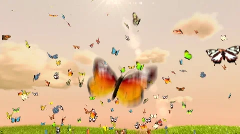 Butterflies background, cg animation Stock Footage
