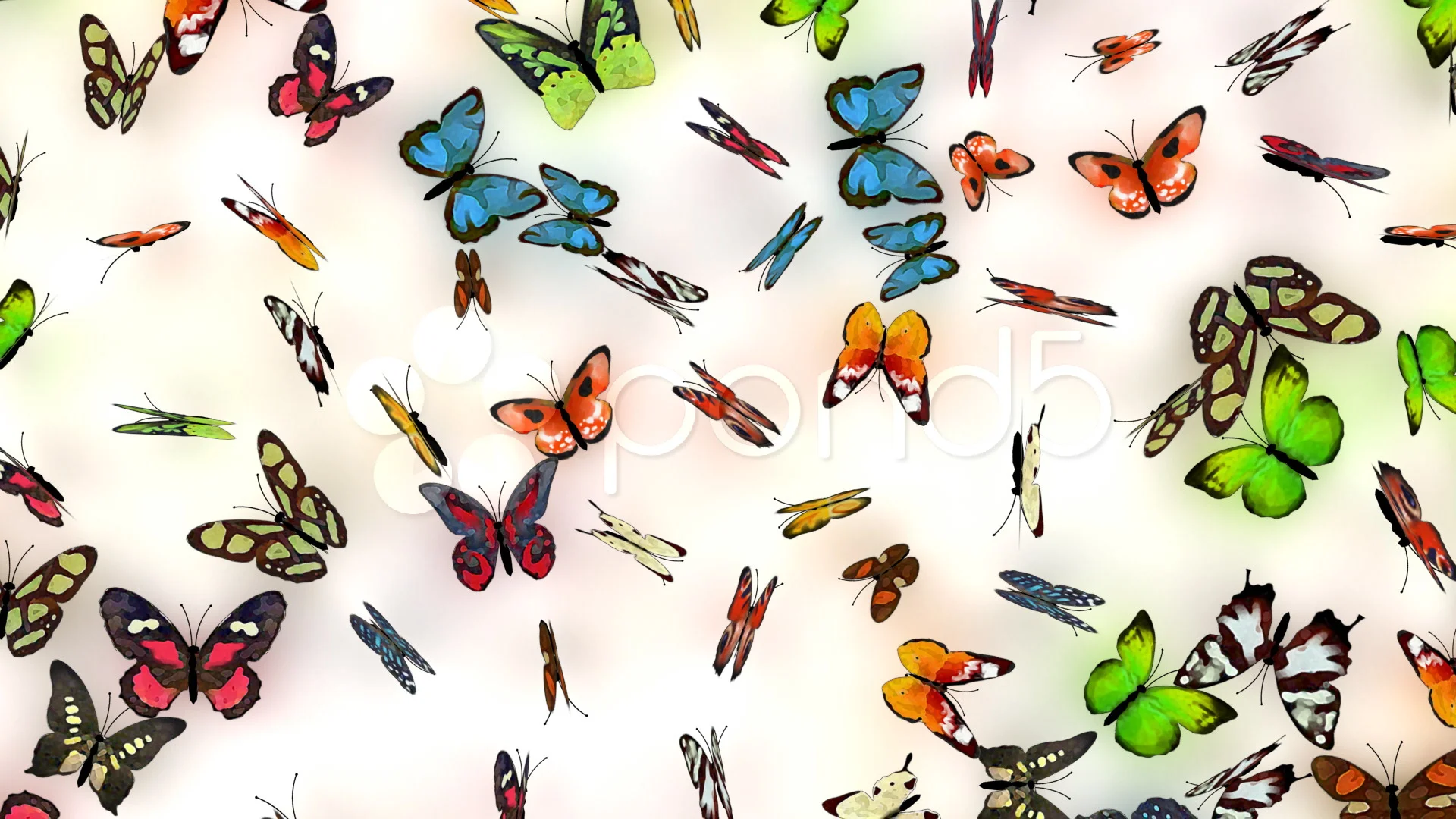 Butterflies background, cg animation, lo... | Stock Video | Pond5