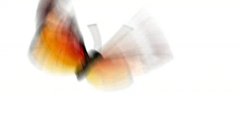 Butterflies background, hd 動画素材 811570