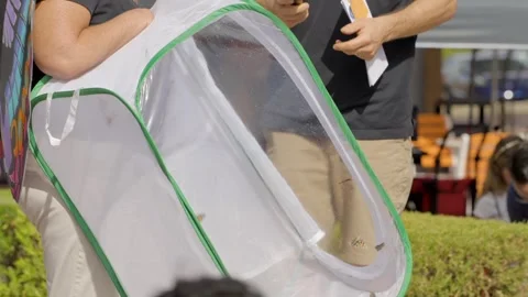 Butterflies being released Stock Footage 292703864