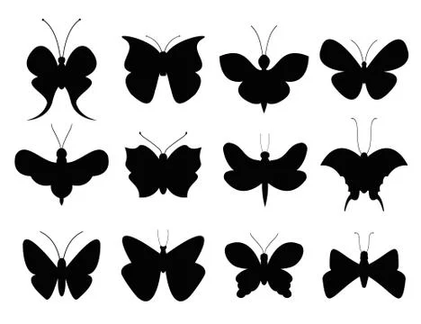 Butterflies black and white flat style vector collection Stock Illustration