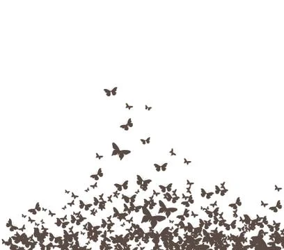 Butterflies black vector Stock Illustration