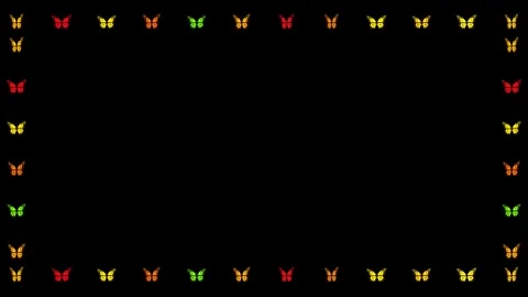 Butterflies in the border Stock Footage 337425724