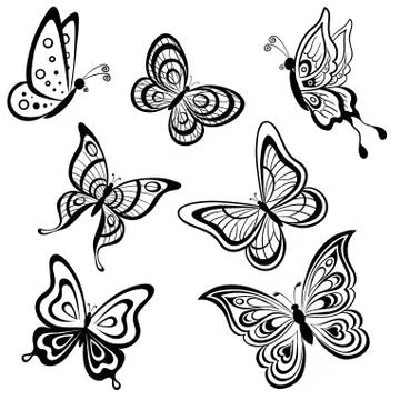 Butterflies, contours Stock Illustration