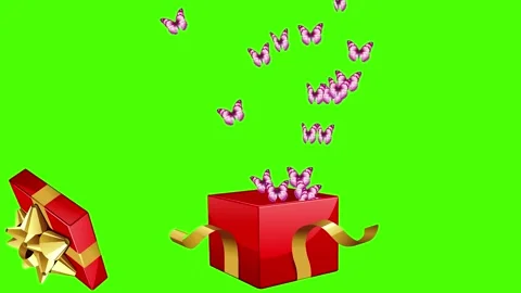 Butterflies fly out of the red box cartoon animation on green background. Stock Footage 313227018