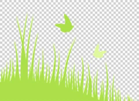 Butterflies fly over the spring grass. Nature background. Spring. Summer. o.. Ilustração Stock