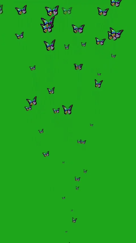 Butterflies Flying Away Motion Graphics on Green Screen Background Stock Footage 317220091