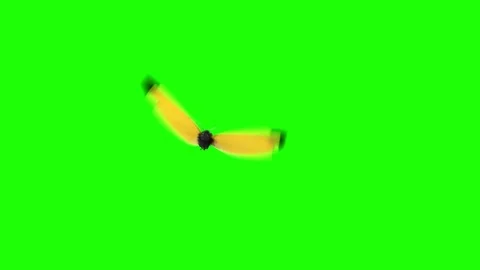 Butterflies Flying on a Green Background Stock Footage 87986955