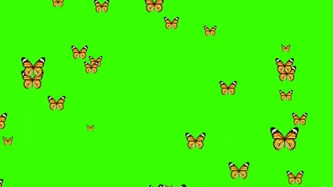 Butterflies flying green screen background Stock Footage 341586441
