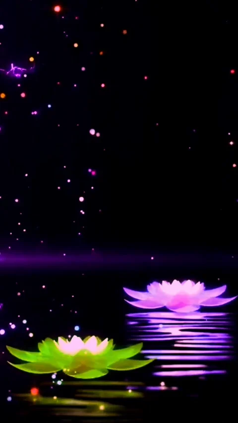 Butterflies flying in spring Stock Footage 255436863