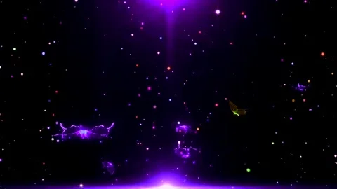 Butterflies flying in spring Stock Footage 255437858