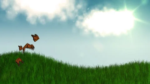 Butterflies Stock Footage 23458298