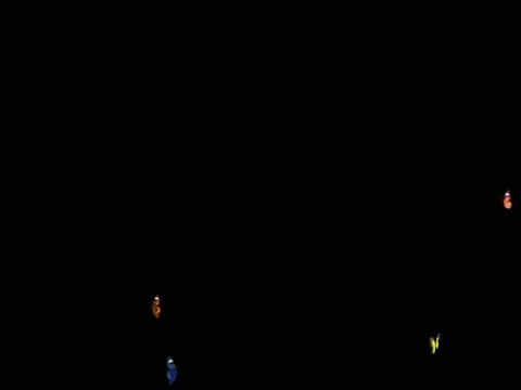 Butterflies Stock Footage 78556899