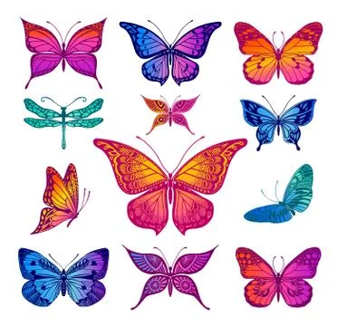 Butterflies graphic illustration Stock Illustration