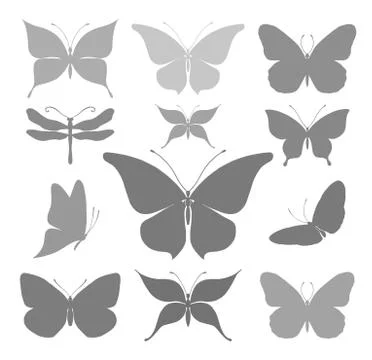 Butterflies graphic silhouettes Stock Illustration