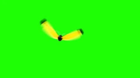 Butterflies on a Green Background Stock Footage 87796729