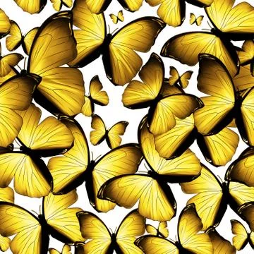 Butterflies Stock Illustration