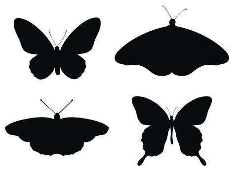 Butterflies Stock Illustration