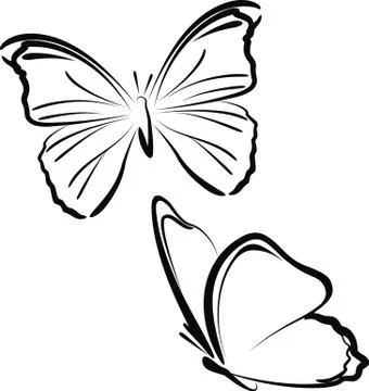 Butterflies Stock Illustration