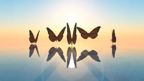 Butterflies Stock Illustration