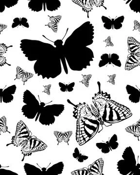 Butterflies Stock Illustration