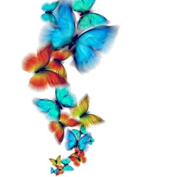 Butterflies Stock Illustration
