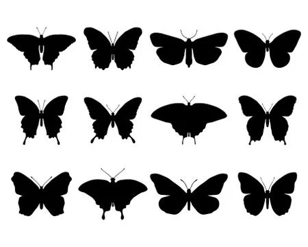 Butterflies Stock Illustration