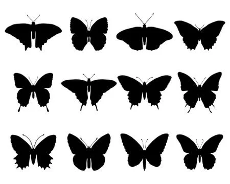 Butterflies Stock Illustration