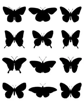Butterflies Stock Illustration