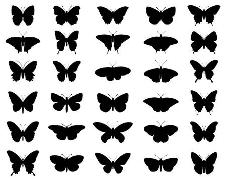 Butterflies Stock Illustration