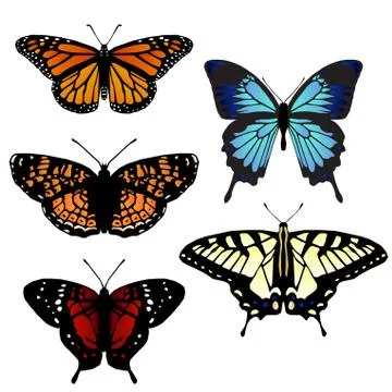 Butterflies Stock Illustration