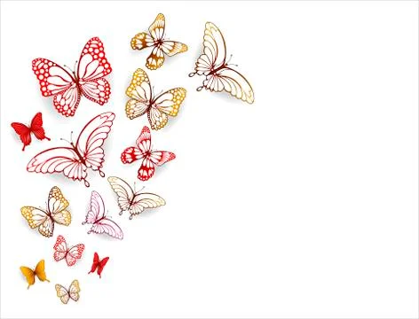 Butterflies Stock-Illustration