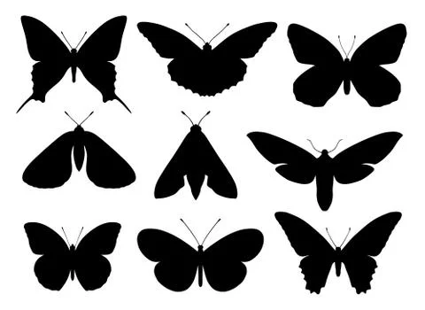 Butterflies Stock Illustration