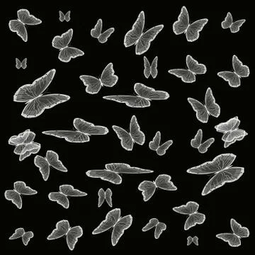 Butterflies Stock Illustration