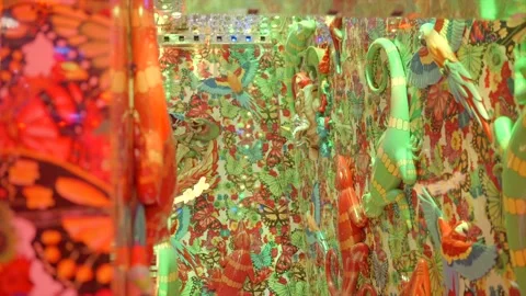 Butterflies lizards strobing light wall Stock Footage 224127357