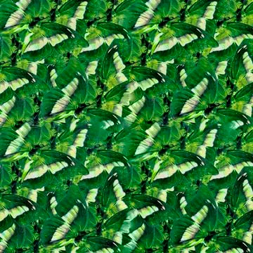 Butterflies Pattern 스톡 일러스트