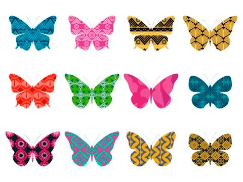 Butterflies with a pattern on a white background. Butterfly isolated. Vector Stock Illustration