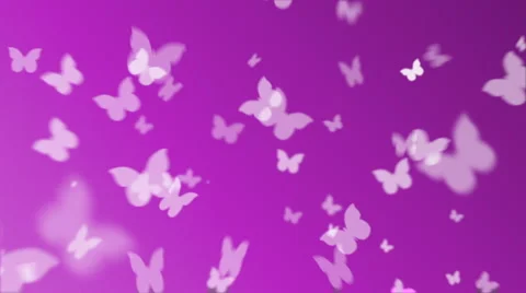 Butterflies On Pink Stock-Footage 5502307