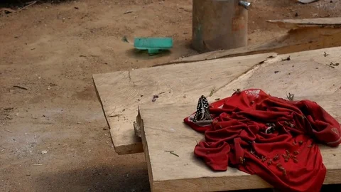 Butterflies on red clothe Stock Footage