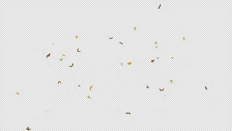 Butterflies seamless loop Transparent in out Stock Footage 320788523