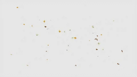 Butterflies seamless loop Transparet Stock Footage 320788522