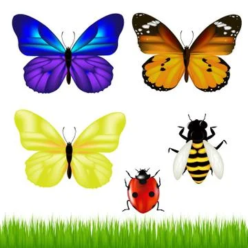 Butterflies set Stock Illustration