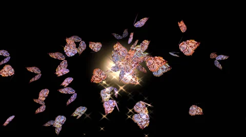 Butterflies Sparkle Stock-Footage 49987965